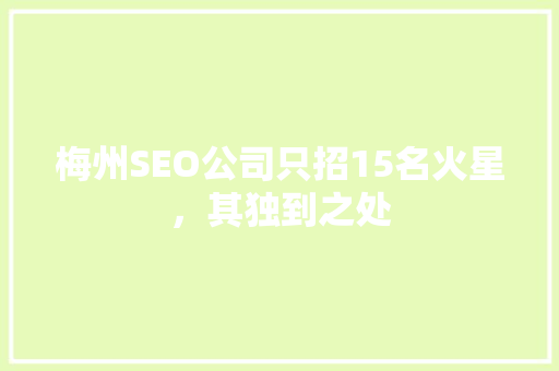 梅州SEO公司只招15名火星，其独到之处  第1张