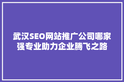 武汉SEO网站推广公司哪家强专业助力企业腾飞之路