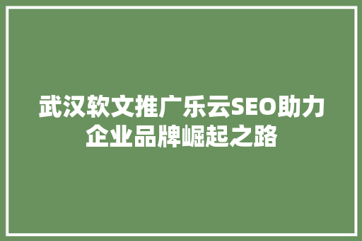 武汉软文推广乐云SEO助力企业品牌崛起之路  第1张