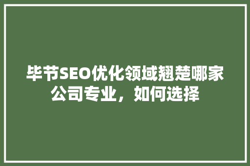 毕节SEO优化领域翘楚哪家公司专业，如何选择