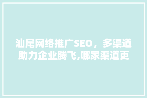 汕尾网络推广SEO，多渠道助力企业腾飞,哪家渠道更胜一筹