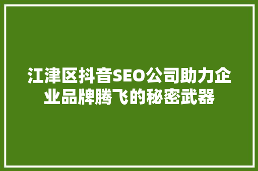 江津区抖音SEO公司助力企业品牌腾飞的秘密武器
