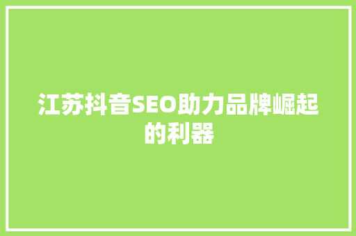 江苏抖音SEO助力品牌崛起的利器