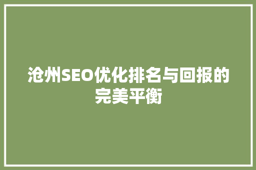 沧州SEO优化排名与回报的完美平衡