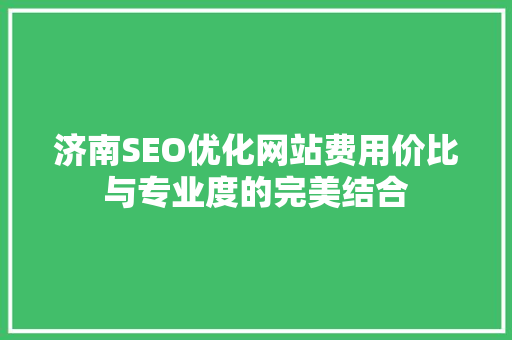 济南SEO优化网站费用价比与专业度的完美结合