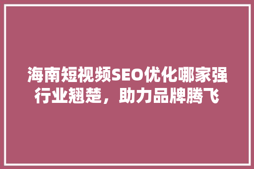 海南短视频SEO优化哪家强行业翘楚，助力品牌腾飞