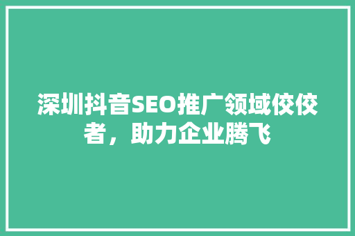 深圳抖音SEO推广领域佼佼者，助力企业腾飞  第1张