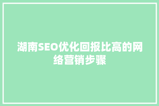 湖南SEO优化回报比高的网络营销步骤
