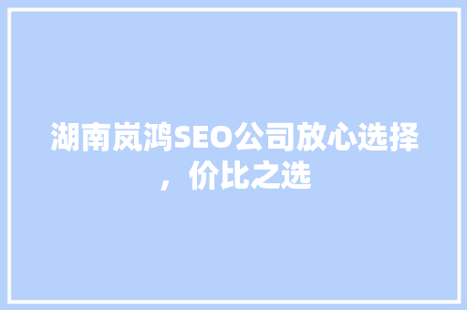 湖南岚鸿SEO公司放心选择，价比之选