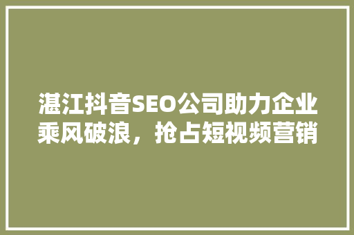 湛江抖音SEO公司助力企业乘风破浪，抢占短视频营销高地  第1张