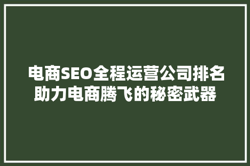 电商SEO全程运营公司排名助力电商腾飞的秘密武器