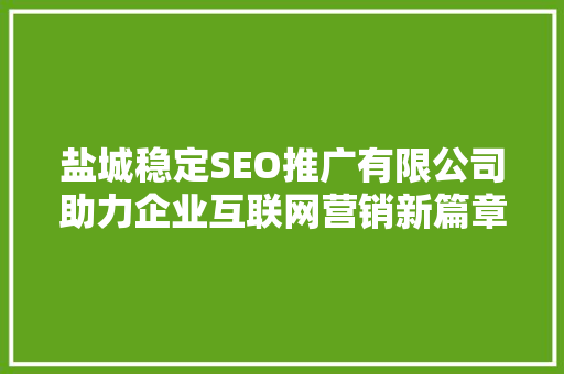 盐城稳定SEO推广有限公司助力企业互联网营销新篇章