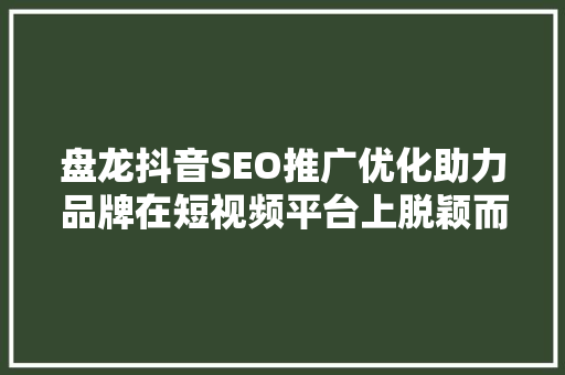 盘龙抖音SEO推广优化助力品牌在短视频平台上脱颖而出