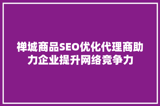 禅城商品SEO优化代理商助力企业提升网络竞争力
