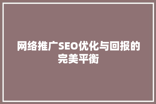 网络推广SEO优化与回报的完美平衡  第1张