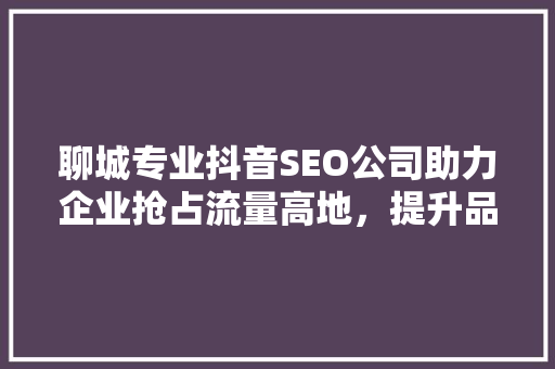 聊城专业抖音SEO公司助力企业抢占流量高地，提升品牌影响力  第1张