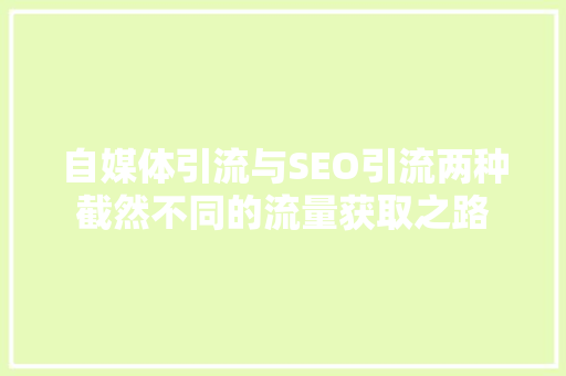 自媒体引流与SEO引流两种截然不同的流量获取之路  第1张