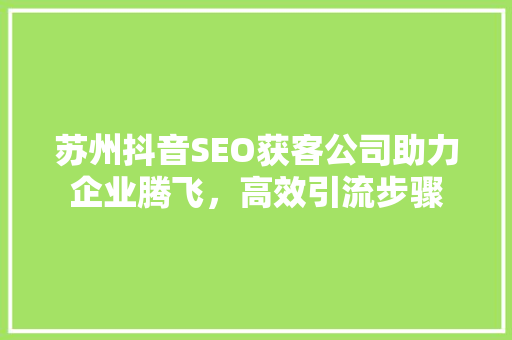 苏州抖音SEO获客公司助力企业腾飞，高效引流步骤