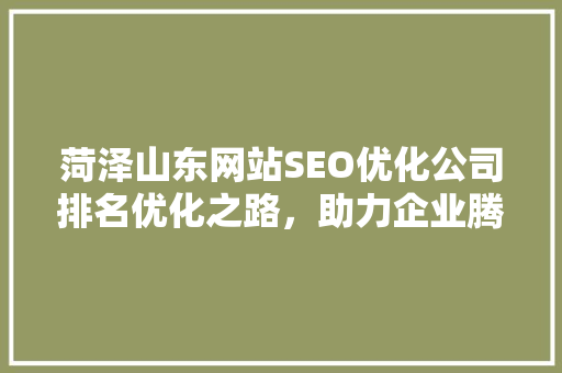菏泽山东网站SEO优化公司排名优化之路，助力企业腾飞