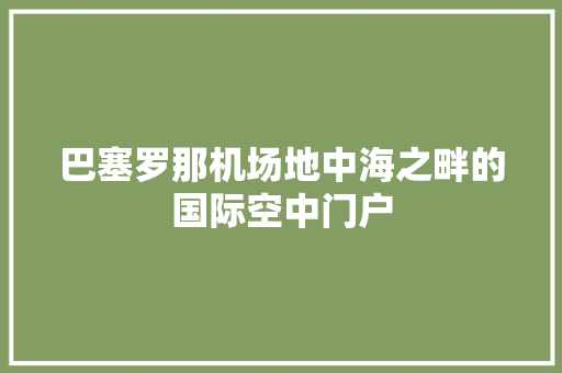 巴塞罗那机场地中海之畔的国际空中门户