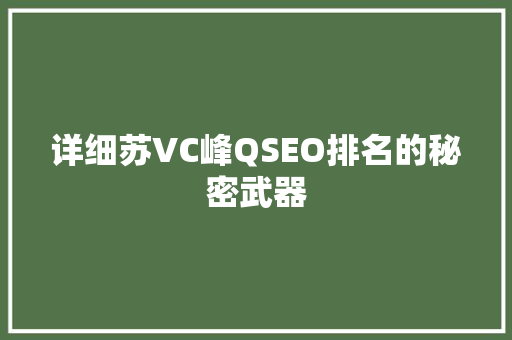 详细苏VC峰QSEO排名的秘密武器  第1张
