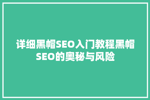 详细黑帽SEO入门教程黑帽SEO的奥秘与风险