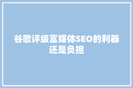谷歌评级富媒体SEO的利器还是负担  第1张