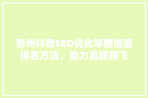 贵州抖音SEO优化掌握搜索排名方法，助力品牌腾飞