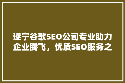 遂宁谷歌SEO公司专业助力企业腾飞，优质SEO服务之路