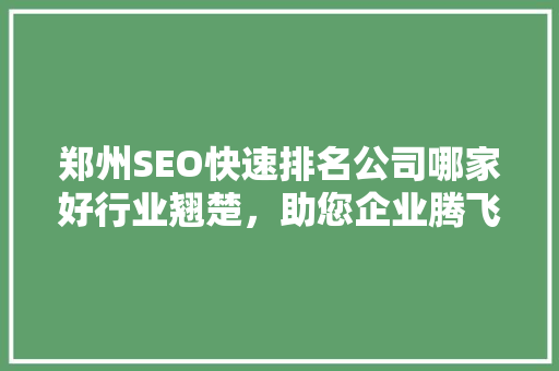 郑州SEO快速排名公司哪家好行业翘楚，助您企业腾飞