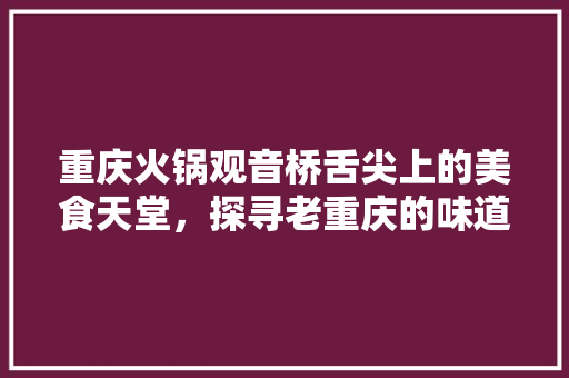 重庆火锅观音桥舌尖上的美食天堂，探寻老重庆的味道