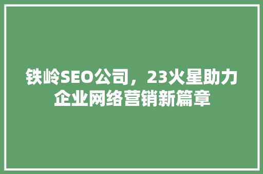 铁岭SEO公司，23火星助力企业网络营销新篇章  第1张