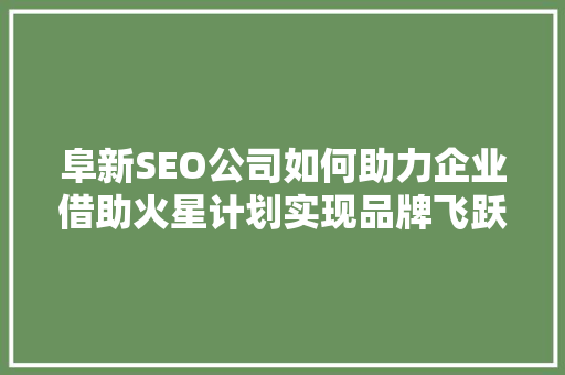 阜新SEO公司如何助力企业借助火星计划实现品牌飞跃  第1张