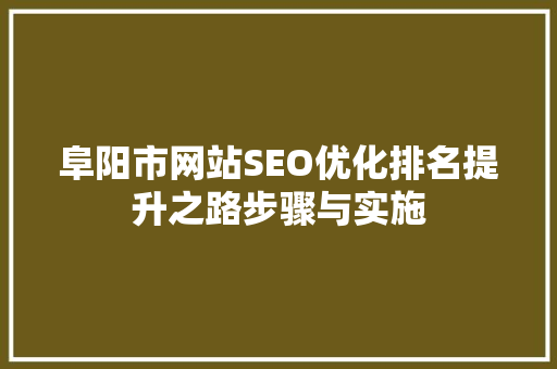 阜阳市网站SEO优化排名提升之路步骤与实施