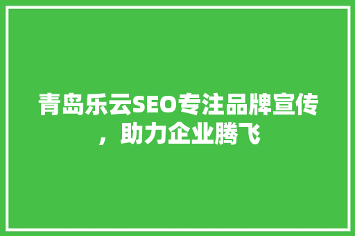 青岛乐云SEO专注品牌宣传，助力企业腾飞
