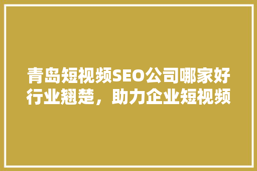 青岛短视频SEO公司哪家好行业翘楚，助力企业短视频营销腾飞  第1张