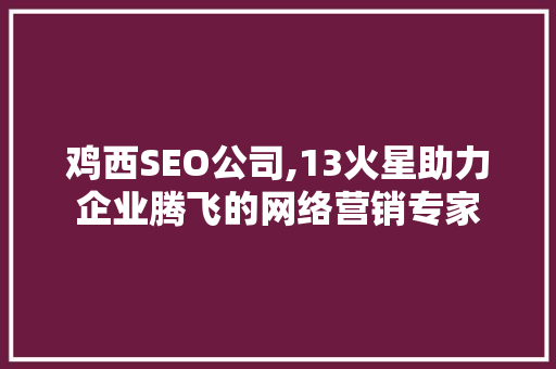 鸡西SEO公司,13火星助力企业腾飞的网络营销专家