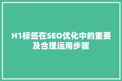 H1标签在SEO优化中的重要及合理运用步骤