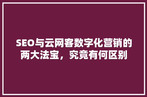 SEO与云网客数字化营销的两大法宝，究竟有何区别