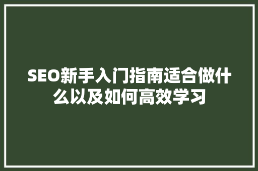 SEO新手入门指南适合做什么以及如何高效学习
