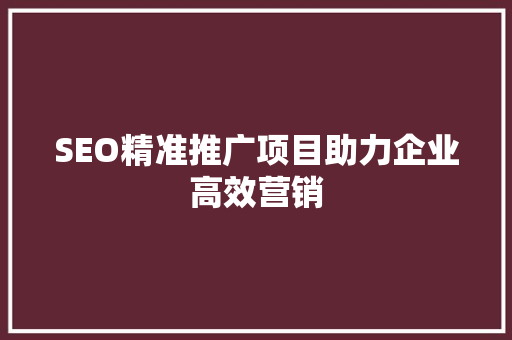 SEO精准推广项目助力企业高效营销