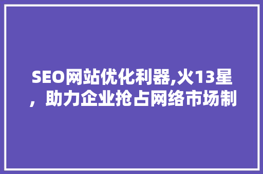SEO网站优化利器,火13星，助力企业抢占网络市场制高点