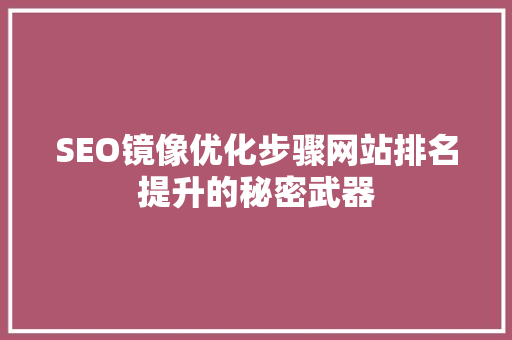 SEO镜像优化步骤网站排名提升的秘密武器