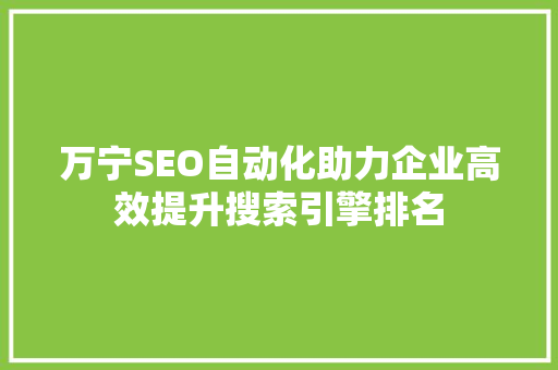 万宁SEO自动化助力企业高效提升搜索引擎排名