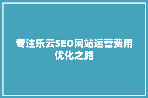 专注乐云SEO网站运营费用优化之路