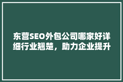 东营SEO外包公司哪家好详细行业翘楚，助力企业提升网络竞争力