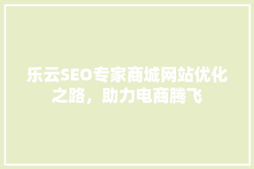 乐云SEO专家商城网站优化之路，助力电商腾飞