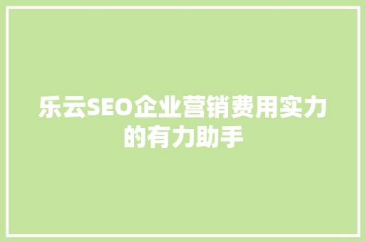 乐云SEO企业营销费用实力的有力助手