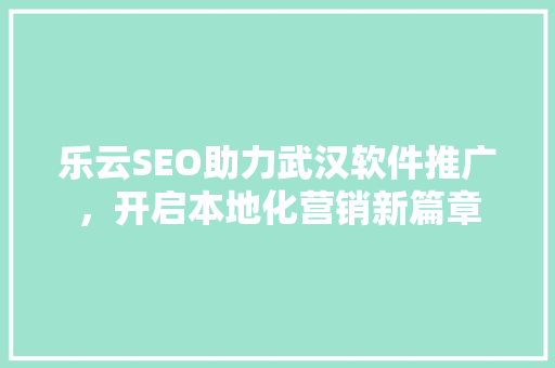 乐云SEO助力武汉软件推广，开启本地化营销新篇章