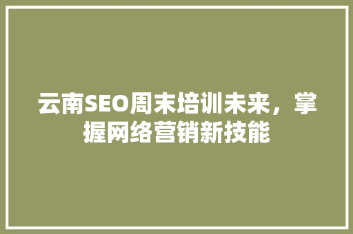 云南SEO周末培训未来，掌握网络营销新技能